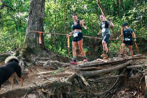 BIB: 
                            <button type="button" onclick="openModal(27555636)" class="btn btn-primary btn-sm float-right btn-popup" data-toggle="modal" data-target=".modal-high-quality">
                        <i class="fas fa-shopping-cart"></i> Add to Cart
                    </button>
                                            <button type="button" onclick="isThisMe(27555636, true)" class="btn btn-success btn-sm float-right btn-popup btn-isme hidden" data-toggle="tooltip" data-placement="bottom" title="นี่คือรูปของคุณใช่ไหม คลิกที่นี่เพื่อเอาเข้าอัลบั้ม">
                        <i class="fas fa-plus"></i> Add to album
                    </button>
                    <button type="button" onclick="isThisMe(27555636, false)" class="btn btn-warning btn-sm float-right btn-popup btn-isnotme hidden">
                        <i class="fas fa-ban"></i> Remove from album
                    </button>